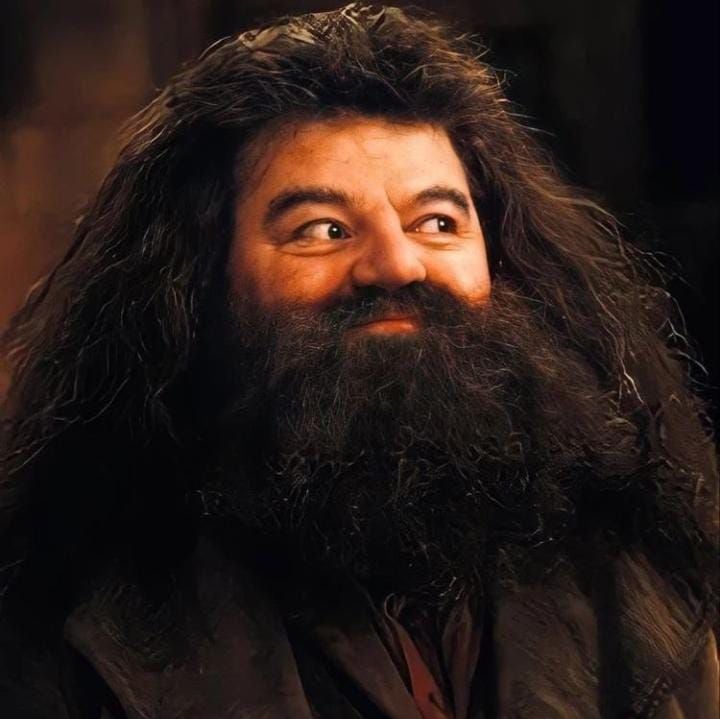 Robbie Coltrane Pemeran Hagrid Di Film Harry Potter Meninggal Dunia Di ...