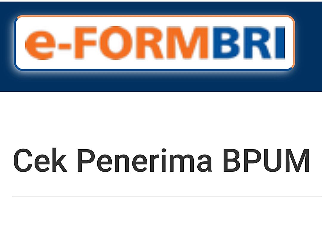 Cuma input NIK KTP di link Eform untuk cek BLT UMKM. Simak kriteria penerima BPUM Rp 600 ribu dalam ulasan ini.