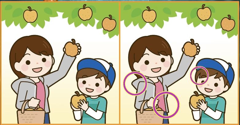 Ada 3 perbedaan dari kedua gambar ibu dan anaknya yang sedang memetik apel.