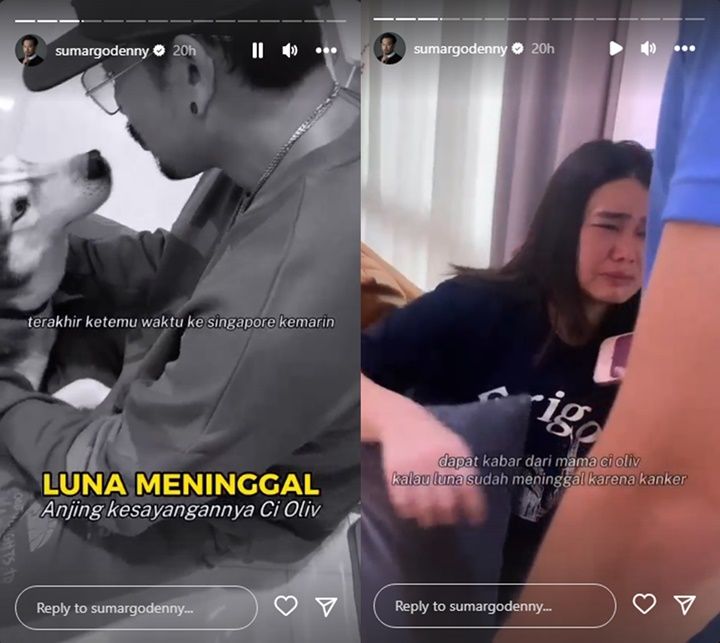 Olivia Allan Nangis Tahu Luna Meninggal, Mertua Denny Sumargo Bongkar Kronologi Kematian