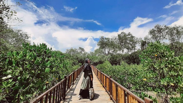 Ekowisata Mangrove Wonorejo Pas Untuk Aktivitas Healing Melepaskan