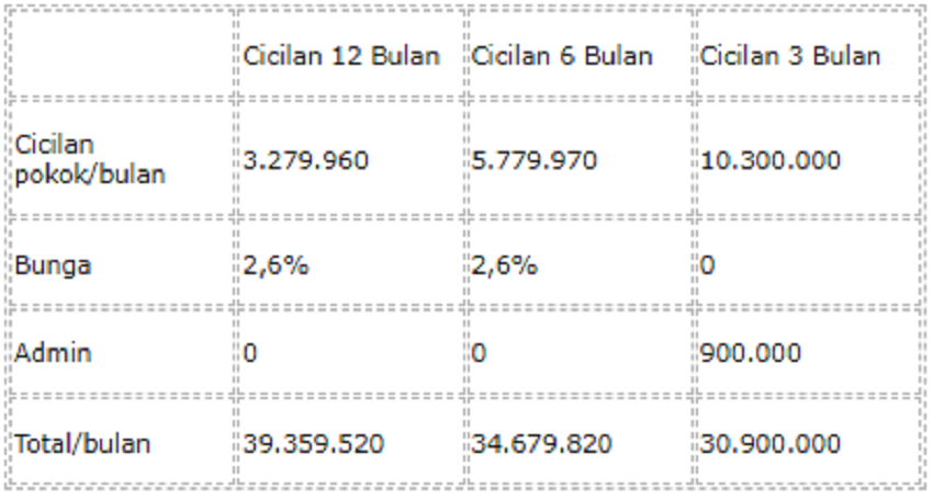 tabel angsuran untuk jumlah pinjaman 30 juta Rupiah.
