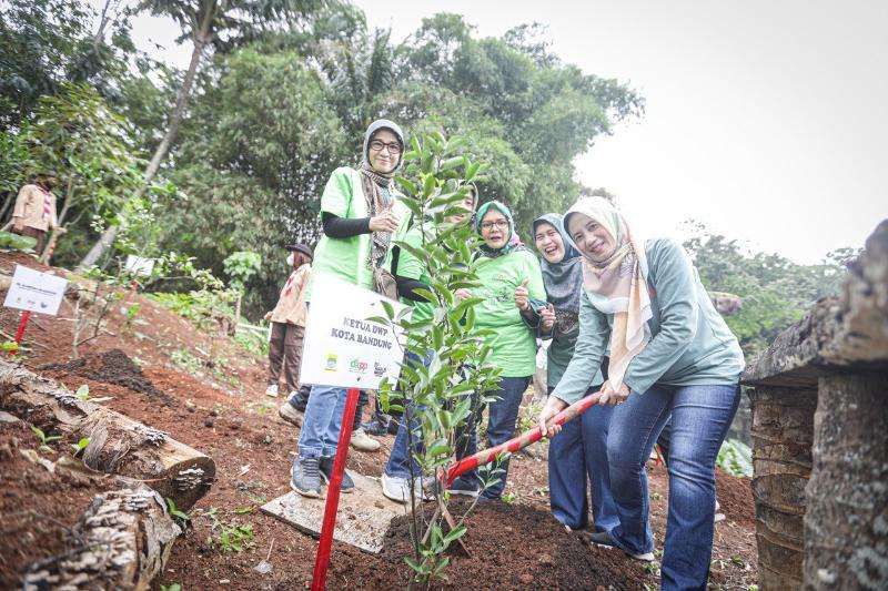 Program penanam pohon yang dilakukan secara serentak dalam kegiatan Bandung Menanam Jilid ke IV ini, secara simbolis digelar di Sekemala Integrated Farming (Seinfarm), pada Rabu 26 Oktober 2022 dan serentak dilaksanakan di 30 kecamatan.