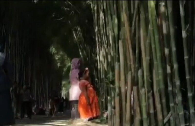 Wisata Papringan Wisanggeni, Nikmati Hutan Bambu dan Taman Lampion di Temanggung!