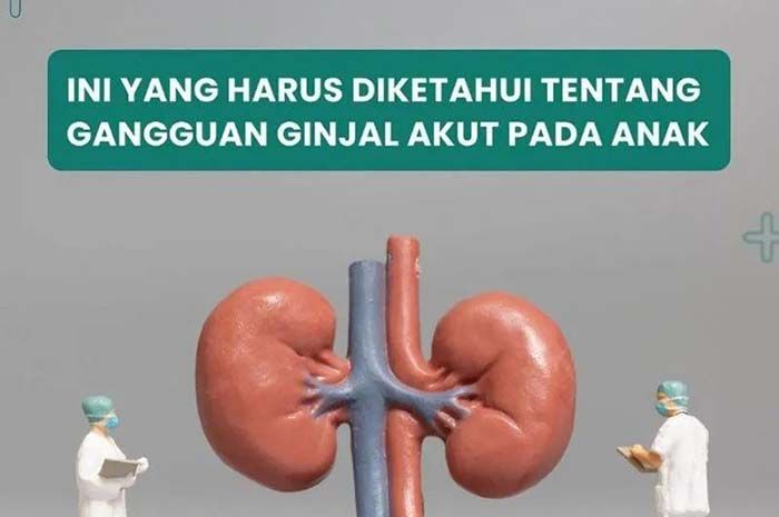 Ilustrasi ginjal.