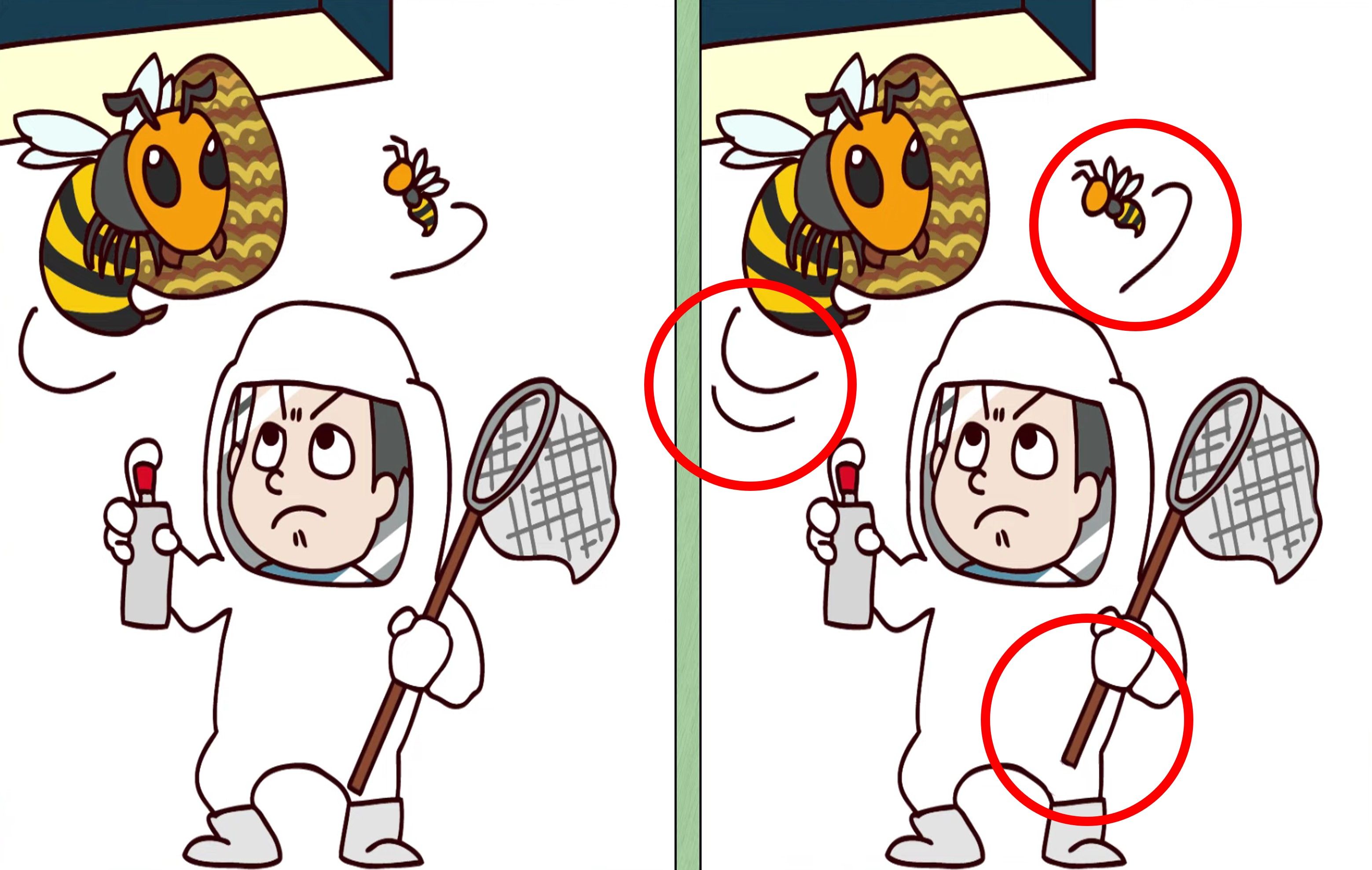 Letak tiga perbedaan pada gambar orang yang ingin membasmi lebah.*