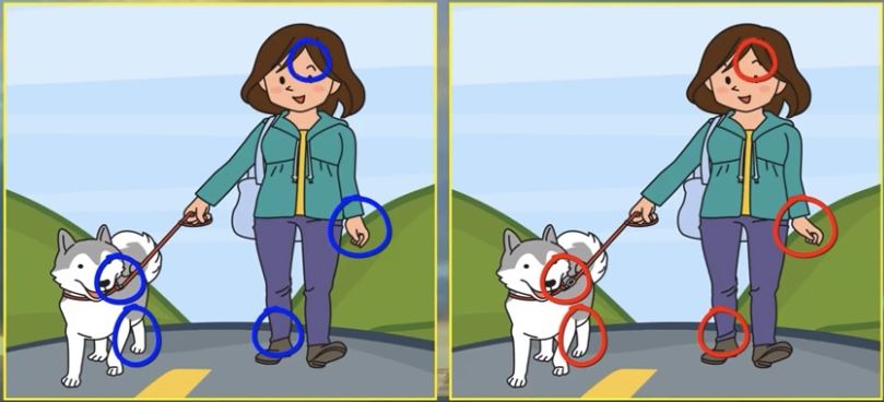 Jawaban tes IQ dalam menemukan perbedaan pada gambar perempuan dan anjing ini. 