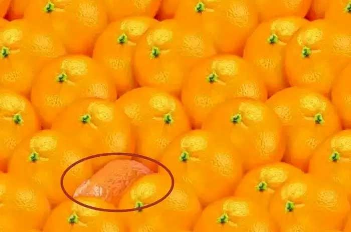 Letak jeruk siam.