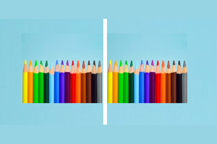 perbedaan pensil warna
