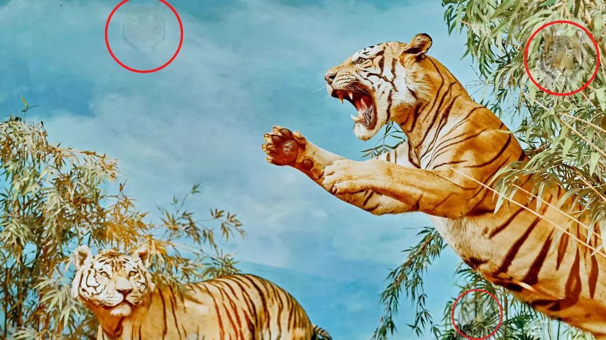 Jawaban tes IQ dalam mendbak jumlah harimau yang benar pada gambar tes IQ ini. 