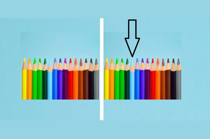 Letak perbedaan dari gambar pensil warna ini.*