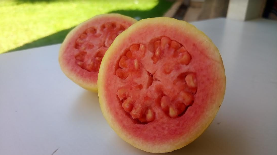 Manfaat Jambu Merah
