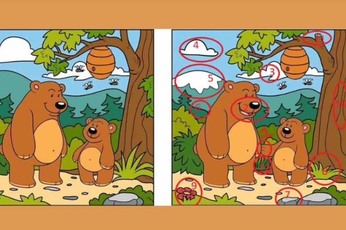 Jawaban 12 perbedaan gambar beruang dalam tes IQ.