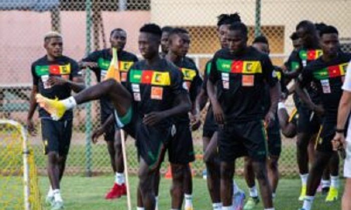  Prediksi Kamerun vs Serbia, prediksi skor, berita tim, head to head dan lainnya 28 November 2022.