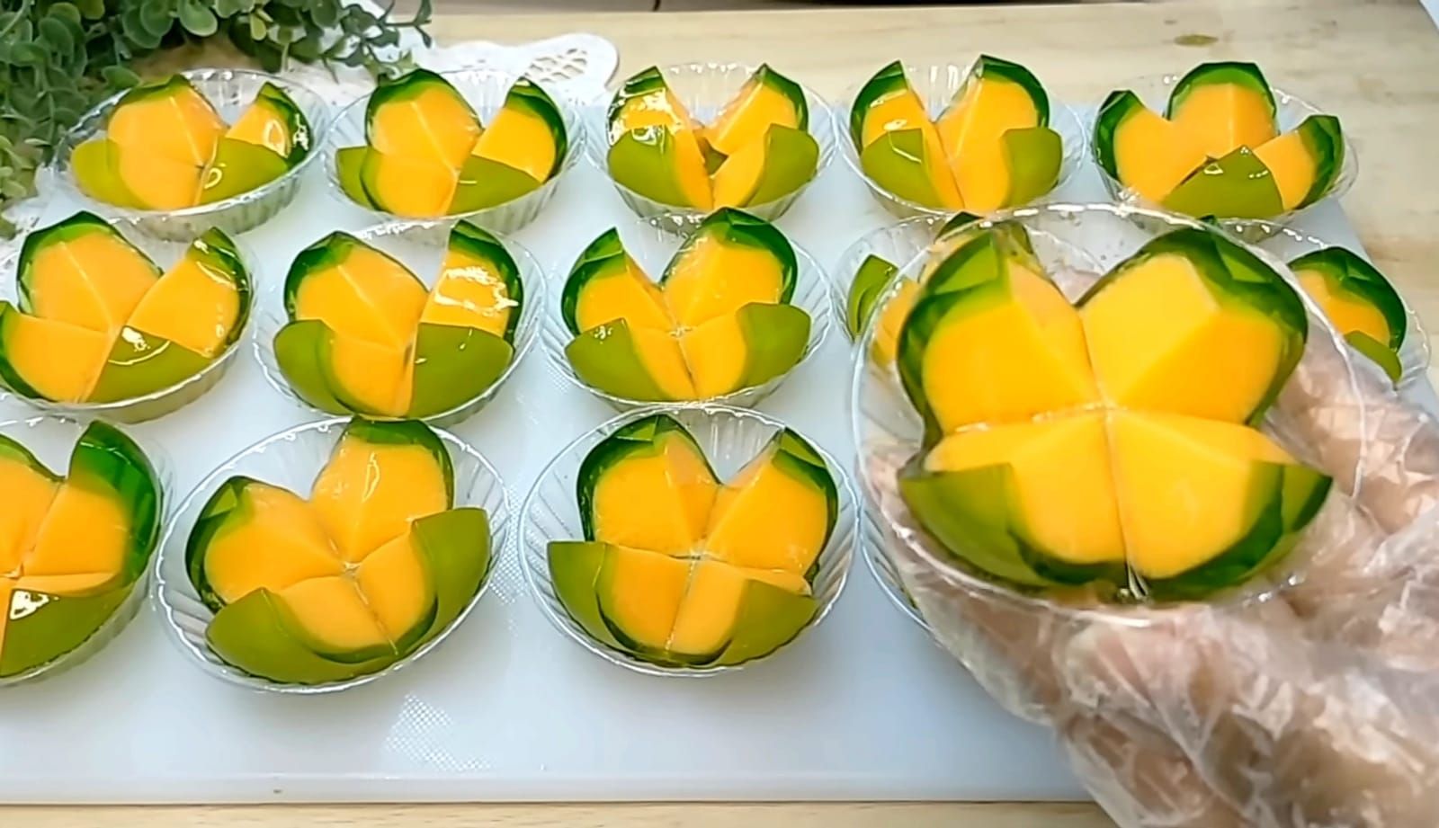 Baru Ready Langsung Ramai Pembeli Inilah Puding Mangga Cantik Segar