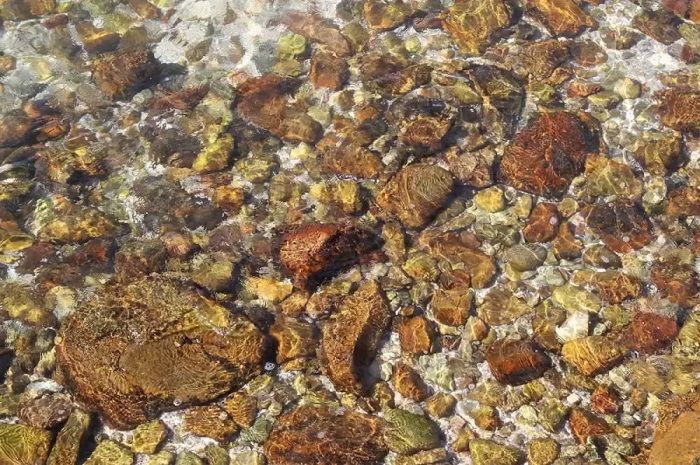 Temukanlah ikan pada gambar batu di gambar tes fokus ini. 