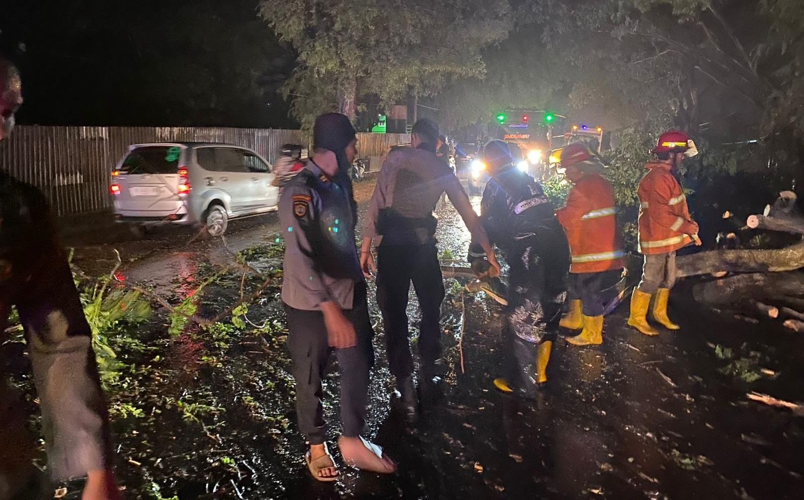 Petugas di Probolinggo saat mengevakuasi pohon tumbang./zona Surabaya Raya /Samapta Polres Probolinggo
