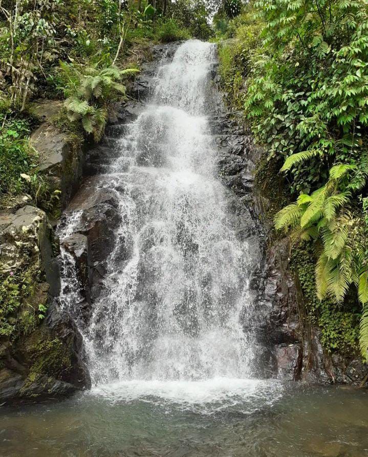 Destinasi Tempat Wisata Alam Dengan Keindahan Pemandangan Alam Curug