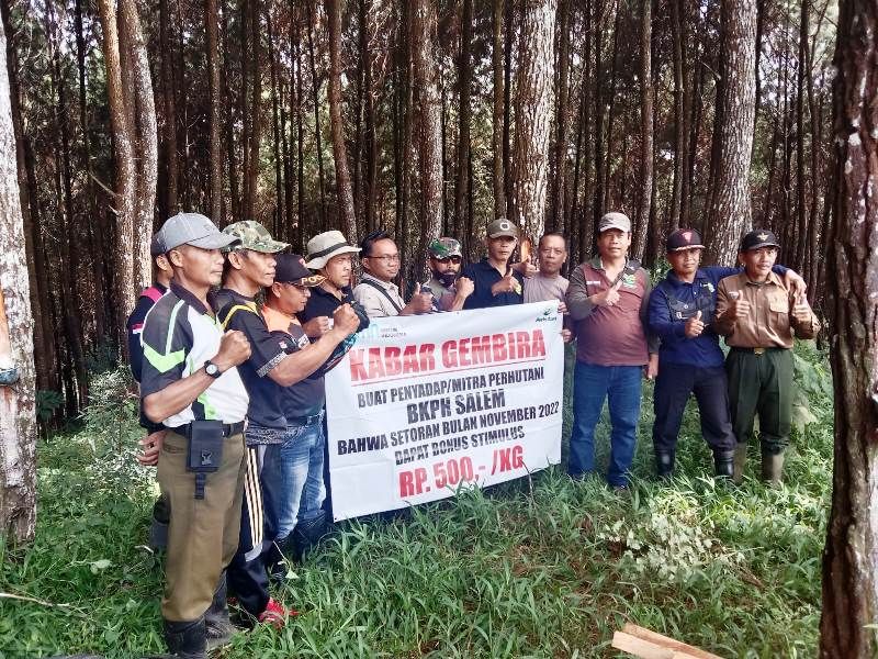 Cegah penebangan liar, BPKH Salem dirikan pos pantau hutan di petak 3K wilayah Desa Winduasri