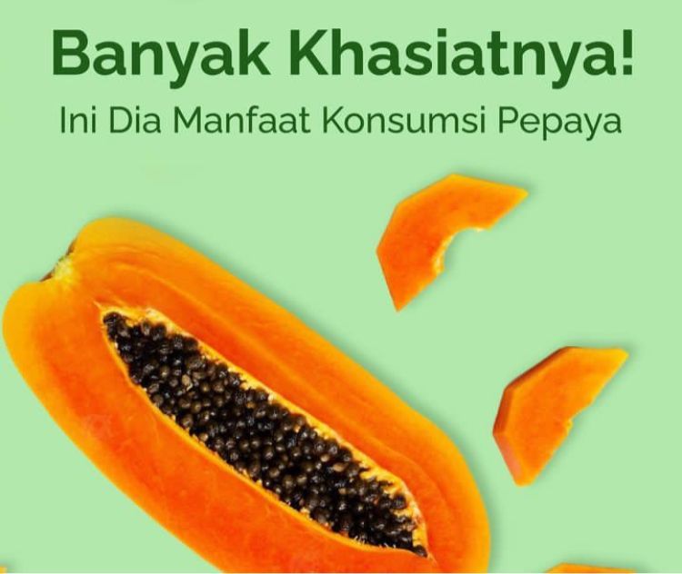 5 Manfaat Dan Khasiat Buah Pepaya Bagi Kesehatan Tubuh No 3 Paling Disukai Wanita Kabar 