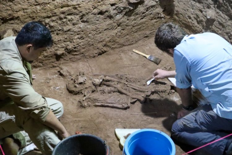 Kerangka manusia prasejarah ditemukan para ilmuwan di salah satu gua di Kalimantan, Indonesia. Menariknya, kerangka berusia 31.000 tahun ini  diketahui telah menjalani prosedur amputasi.