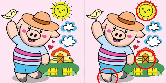 Letak tiga perbedaan pada gambar anak babi ini.*