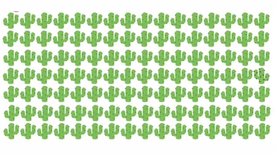 Buktikan kejelian Anda dengan cara menemukan perbedaan pada gambar kaktus dalam tes IQ kali ini. 