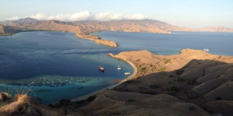 Pulau Rinca, Destinasi Wisata Alam Indah Eksotis yang Belum Banyak Diketahui