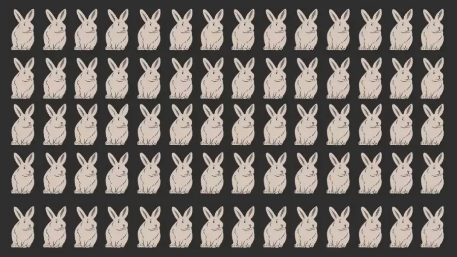 Jawaban tes IQ dalam menemukan kelinci berbeda pada gambar. 