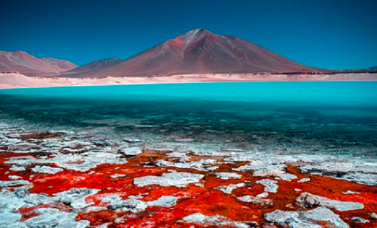 Gunung berapi terbesar di dunia, Ojos del salado.