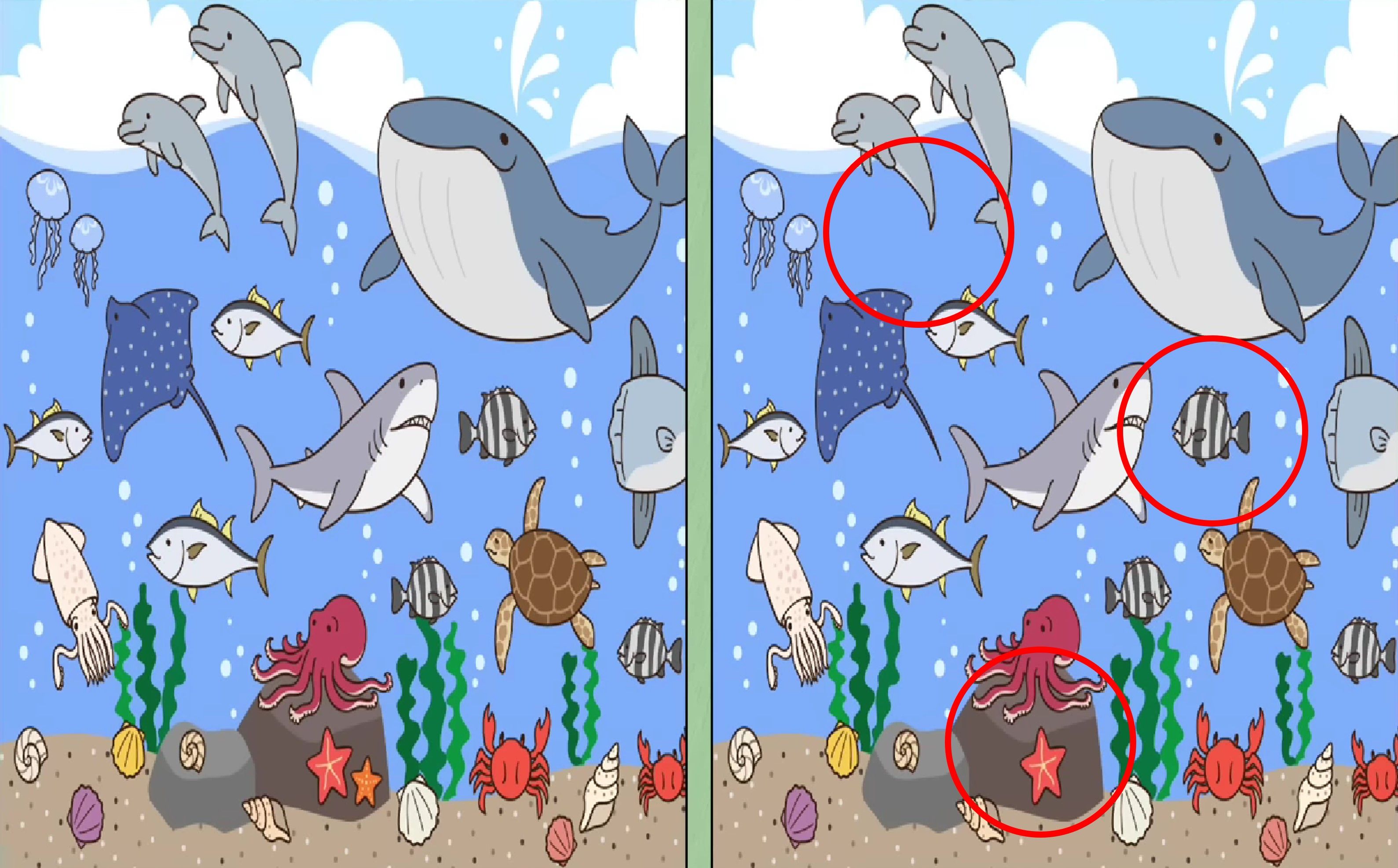 Jawaban tes IQ dalam menemukan perbedaan gambar hewan laut ini. 