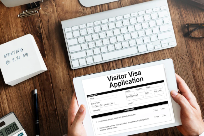 Visa Investor Gagal Terbit, Begini Penjelasan Ditjen Imigrasi