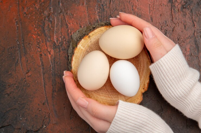 Inspirasi Sarapan Sehat untuk Anak Berbahan Telur dan Nasi