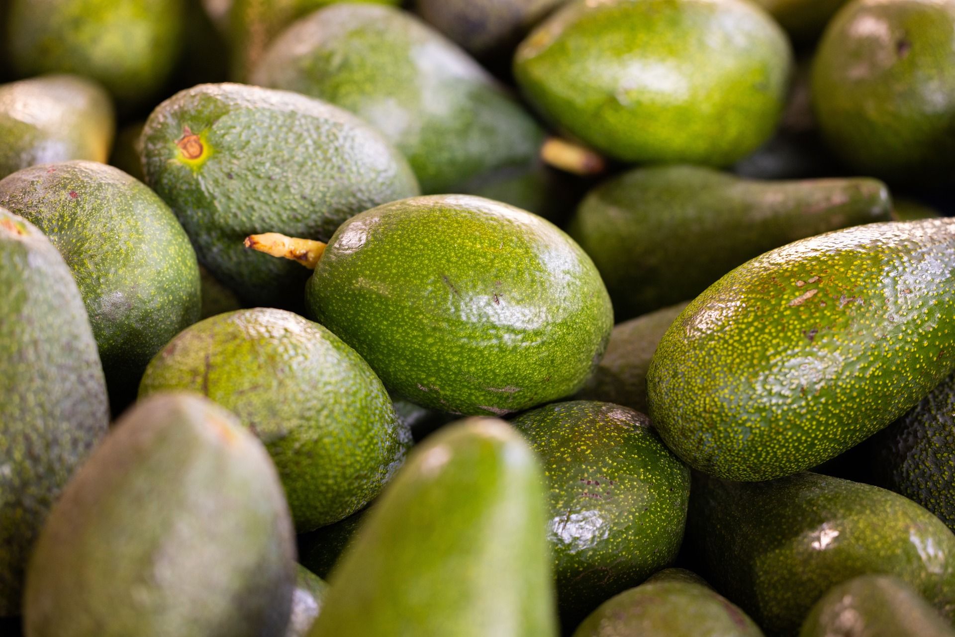 Alpukat sering terlihat di pasar buah Indonesia. Ternyata, buah yang bukan asli Indonesia ini memiliki banyak manfaat.