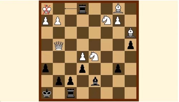 SKAKMAT - teka-teki catur