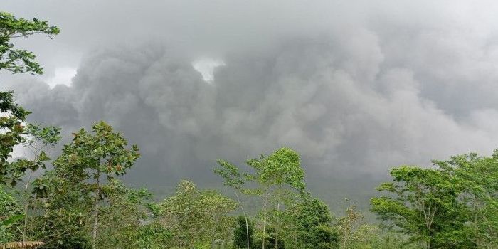 Berikut ini tiga artikel populer hari ini Selasa 6 Desember 2022, salah satunya tentang ramalan mengerikan setelah Gunung Semeru erupsi. 