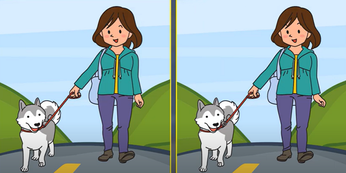 Cari 5 perbedaan pada gambar wanita yang berjalan bersama anjing kesayangan pada tes fokus.
