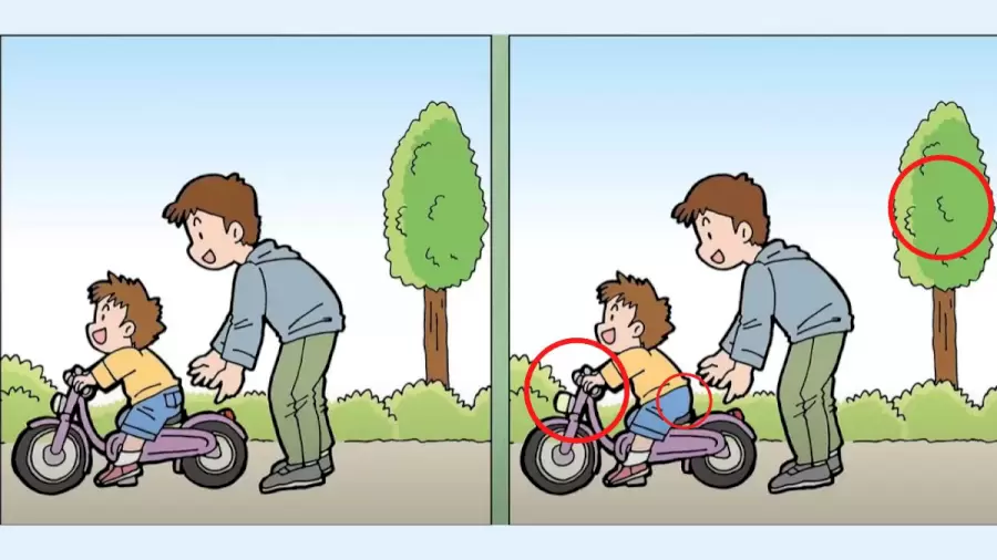 Jawaban tes IQ dalam menemukan  perbedaan gambar ayah dan anak yang belajar sepeda. 