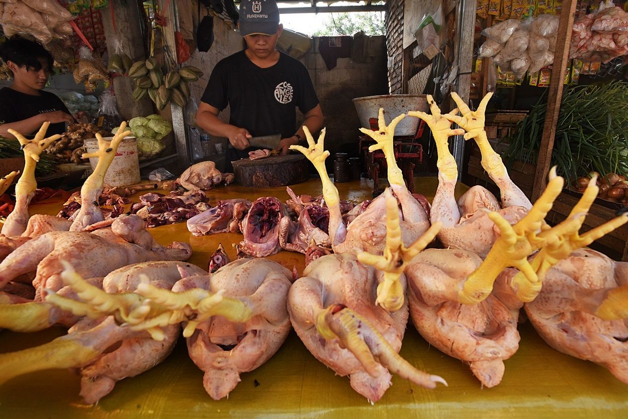 Ilustrasi harga ayam potong naik jelang Ramadan.