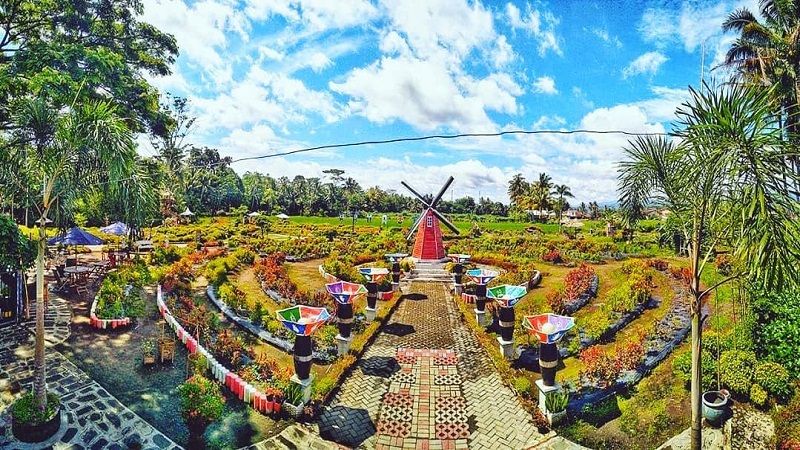 Taman Ramadanu, Wisata Magelang Terbaru, Cocok untuk Healing Nikmati Bunga Warna-Warni 