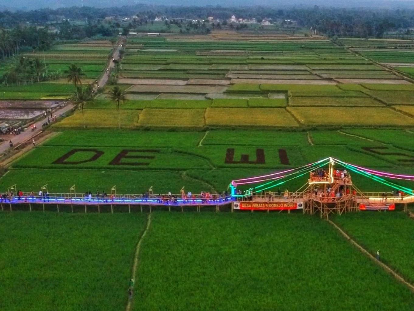 Jejaring Desa Wisata Dewi Sri, Kecamatan Jabung, Kabupaten Malang, Rekomendasi Tempat Rekreasi Malang