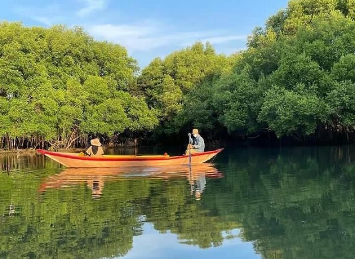 Menikmati hijaunya kawasan Taman Wisata Alam Angke Kapuk Mangrove di Jakarta sambil menaiki perahu./Tangkapan layar/Instagram @twa_mangrove