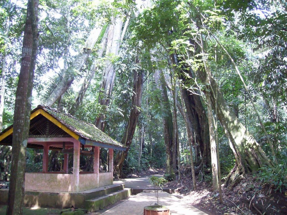 Ilustrasi. Makam Eyang Natakhusuma Terletak di Desa Talaga Wetan Kecamatan Talaga