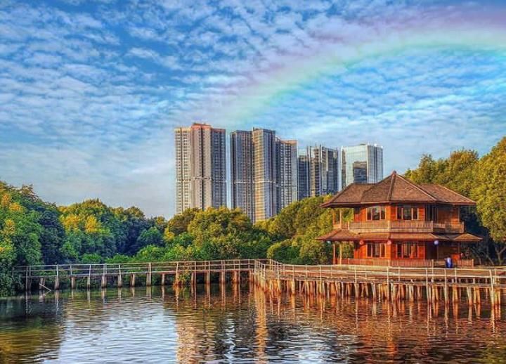 Taman Wisata Alam Angke Kapuk Mangrove di Jakarta, Cocok Untuk Healing