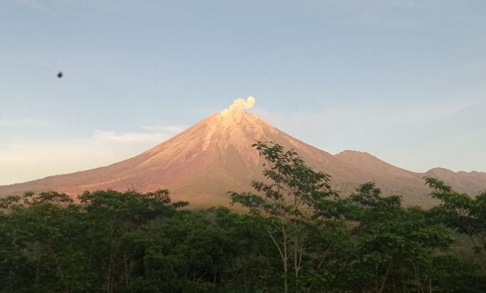 Hari Ini Gunung Semeru Tiga Kali Erupsi Letusan Tertinggi Sekitar M Di Atas Puncak Oke Tebo