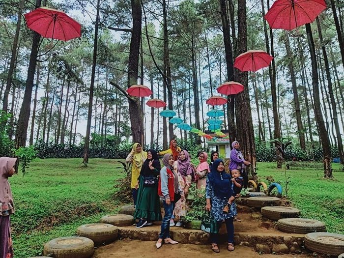 Wisata keluarga bernuansa alam dengan pohon pinus di Prabalintang.