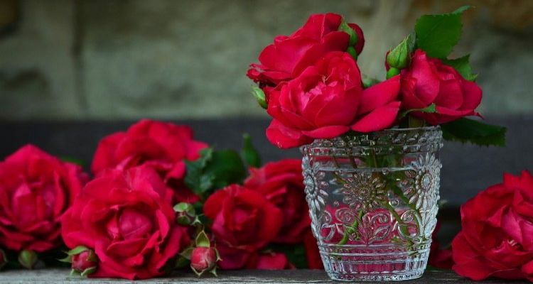 Peringatan Rose Day