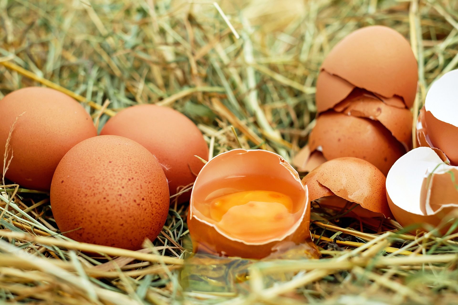 Foto ilustrasi telur. Bahan aquafaba mulai sering dipergunakan saat membuat resep kue vegan, sebagai bahan pengganti telur.