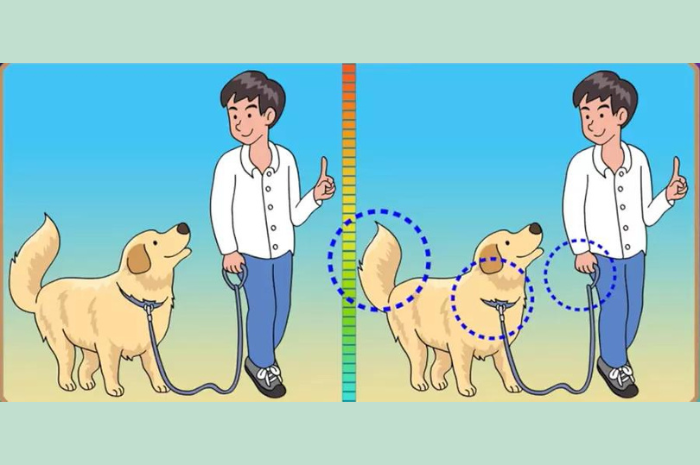 Jawban tes IQ dalam menemukan perbedaan gambar pria yang bersama anjing. 