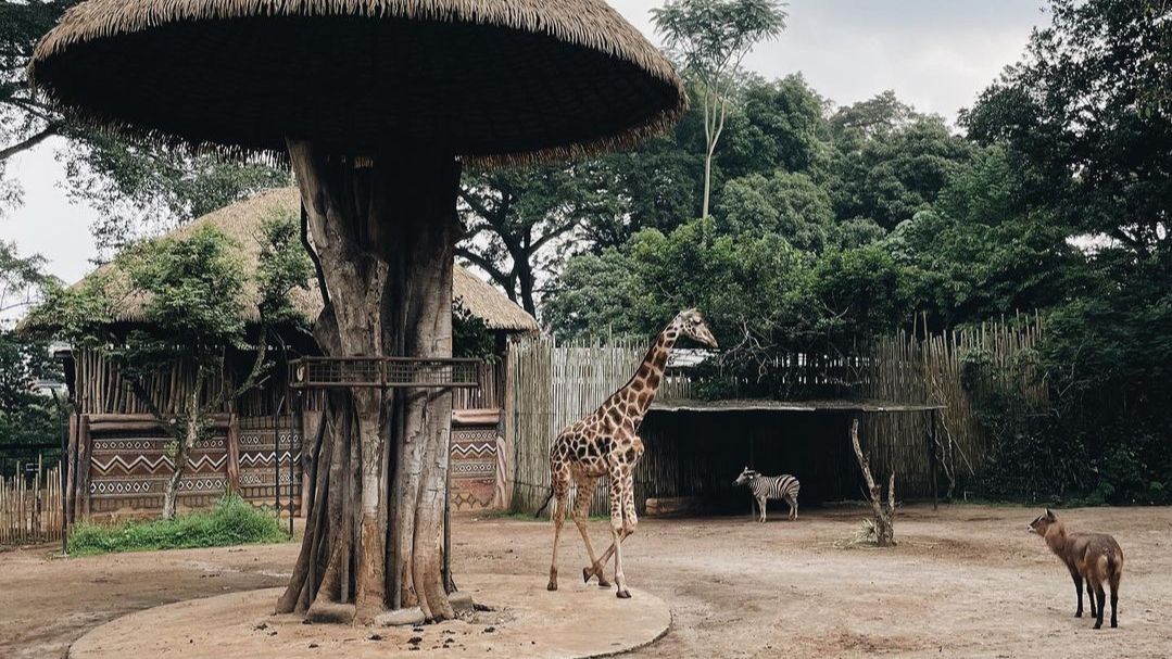 Bandung Zoo, salah satu tempat wisata Bandung yang lagi hits.
